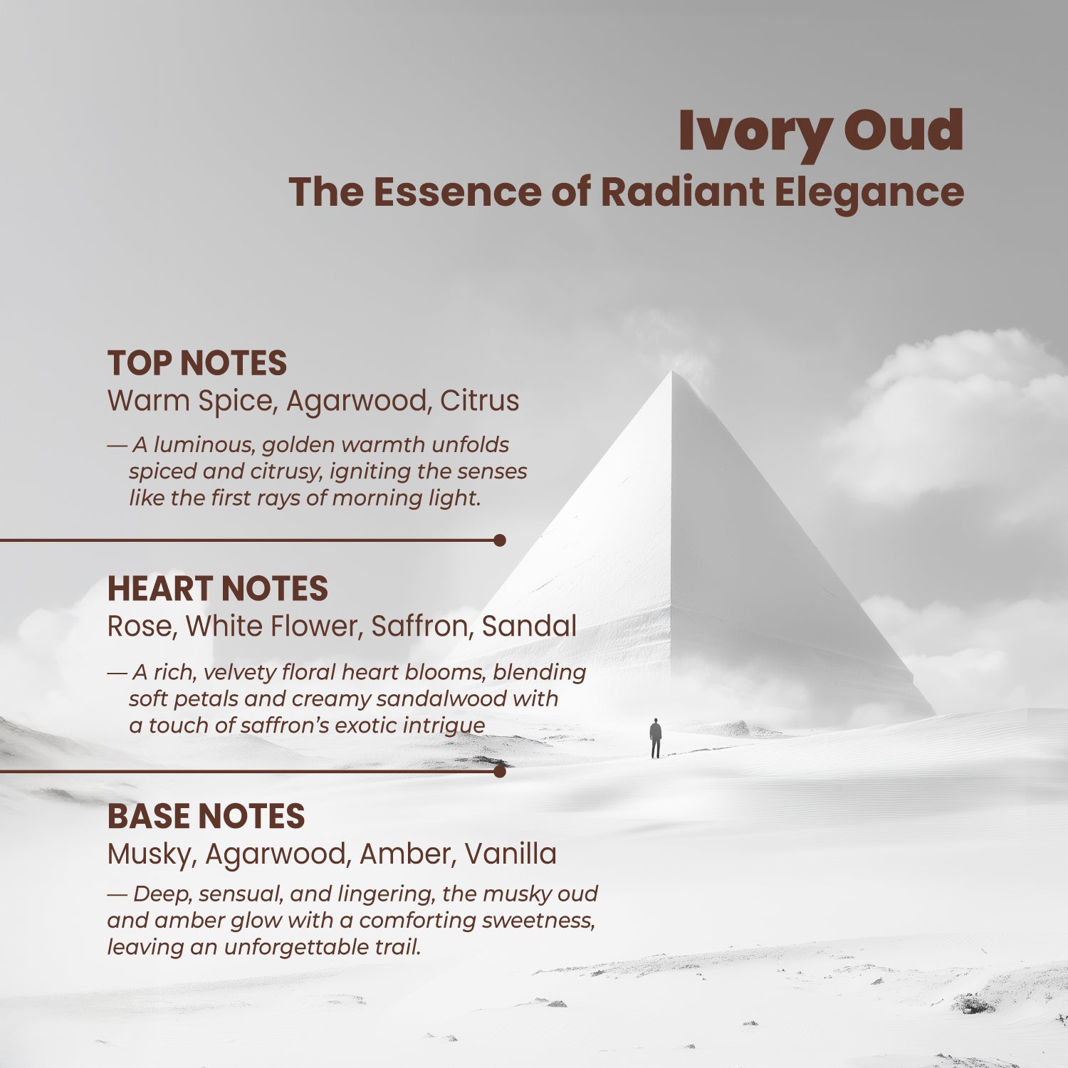 Riya OUD Ivory Deodorant for Men and Women - 40 ml