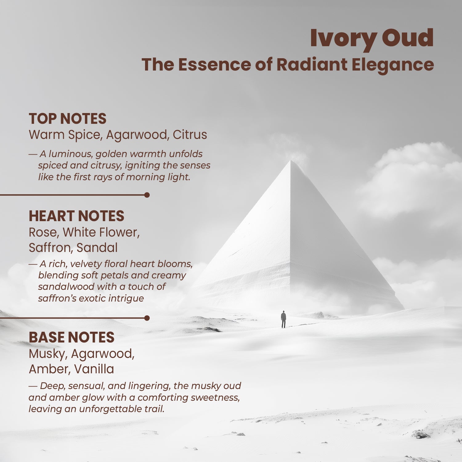 RIYA Pack of 4 Oud Perfume for Men and Women (20ml Each)- 80 ml