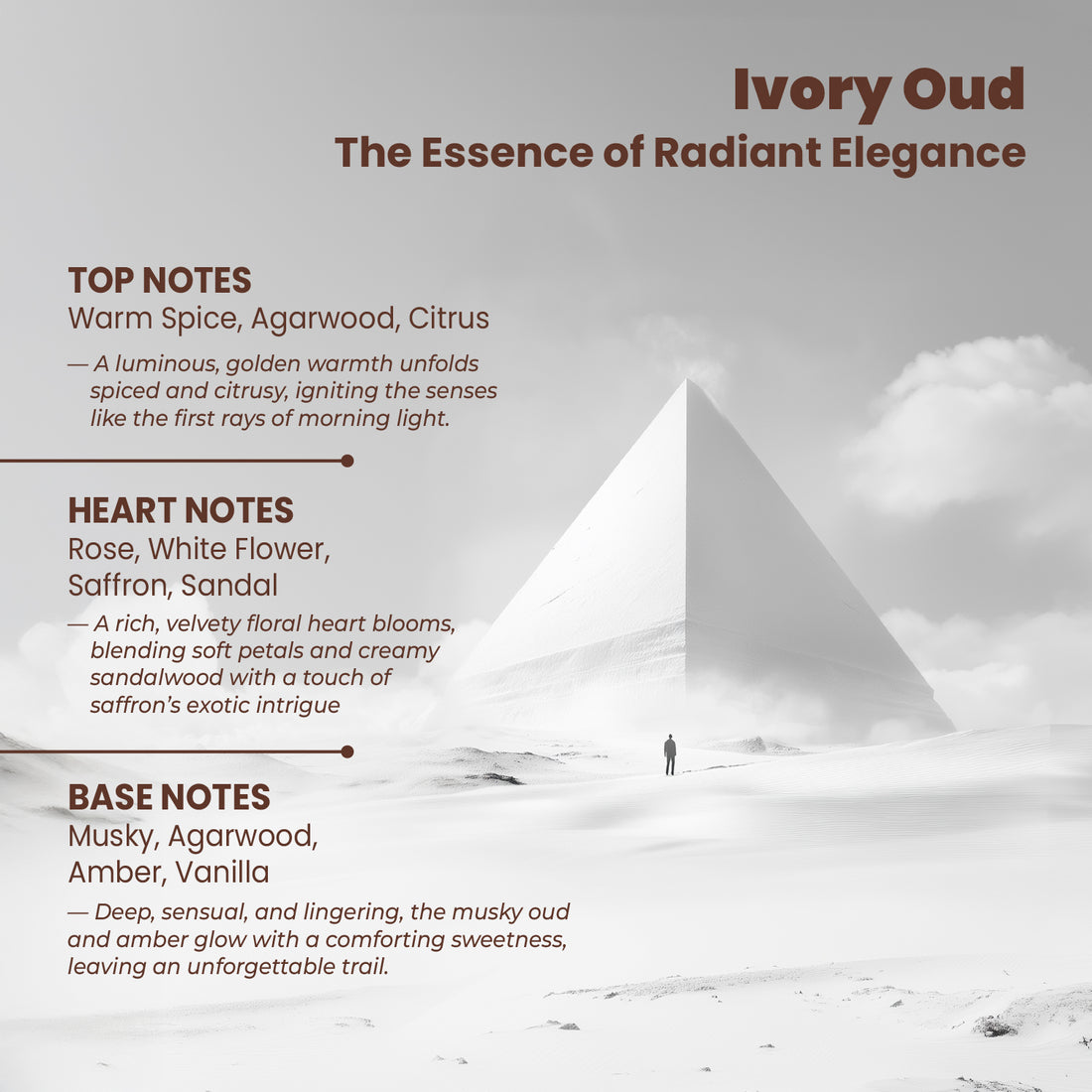 Riya OUD Ivory and Nuit Eau De Parfum for Men and Women | 20 ml Each| Pack of 2