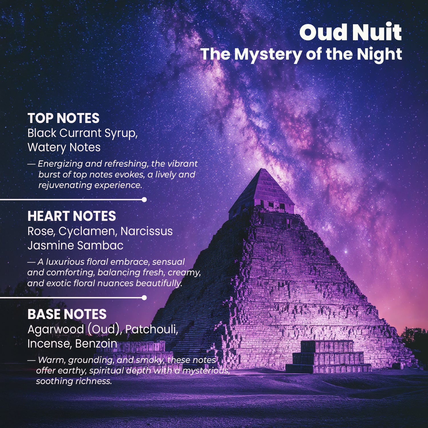 Riya OUD Nuit and Ambre Eau De Parfum for Men and Women | 20 ml Each Pack of 2