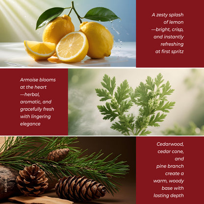 Riya Hum Tum Rich Saffron Eau De Parfum for Men &amp; Women - 30ml