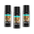 Born Rich Pack of 3 Men Deodorants - Riya Lifestyle