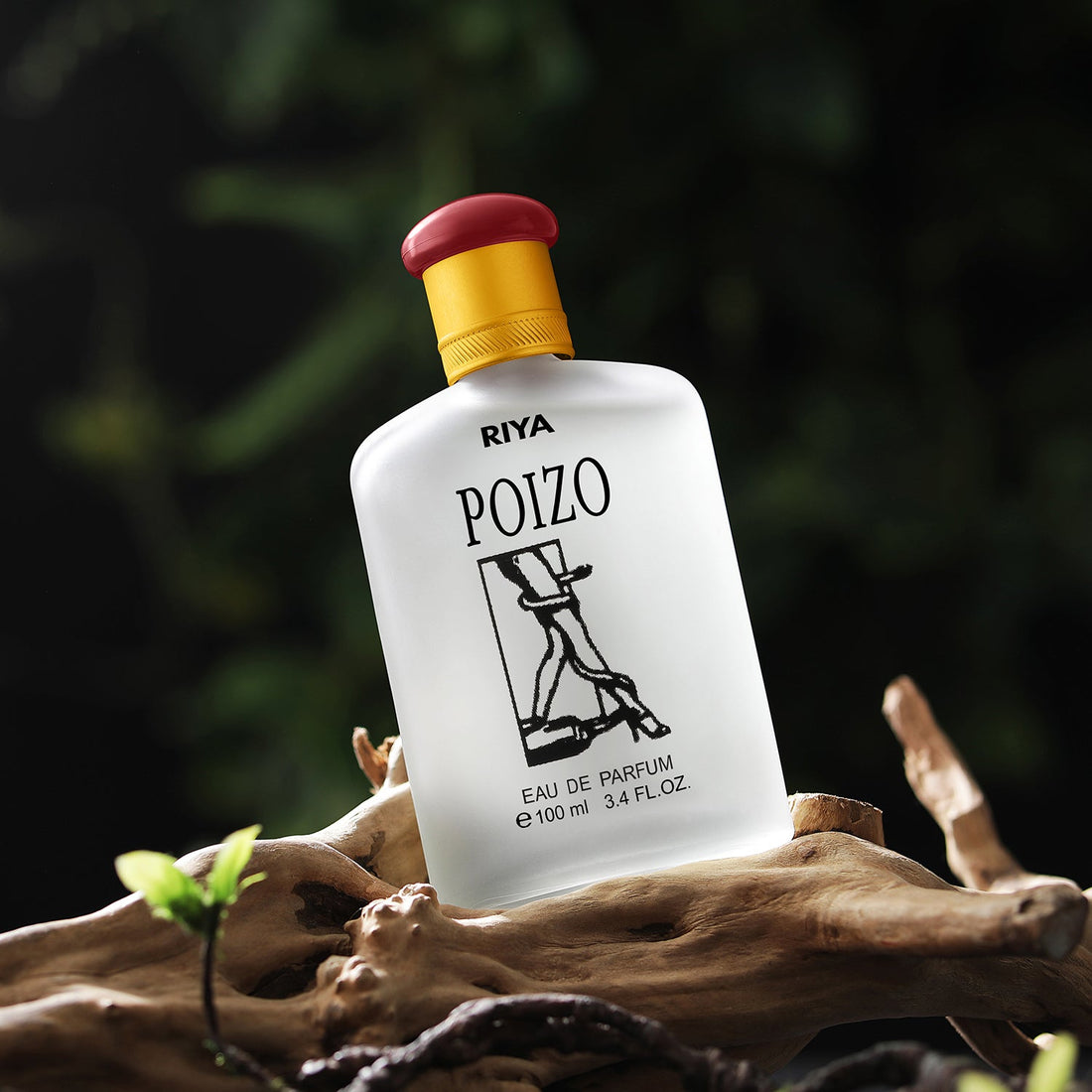 Poizo | Unisex Perfume | 100 ml Eau De Parfum